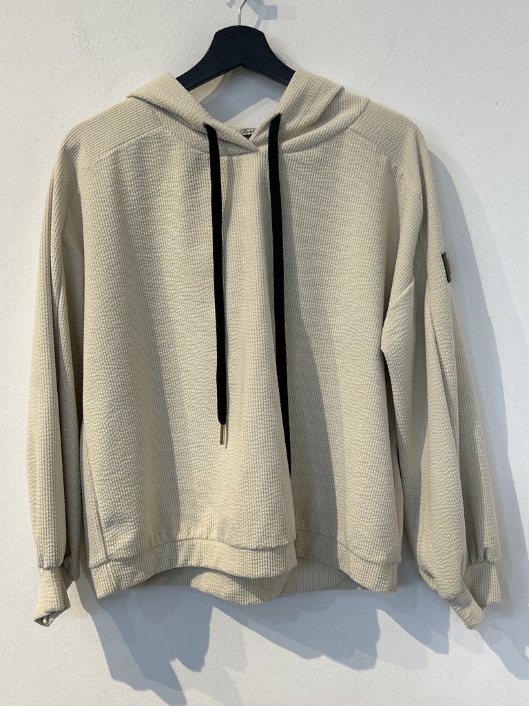 SW.Wi.2514T Hoody